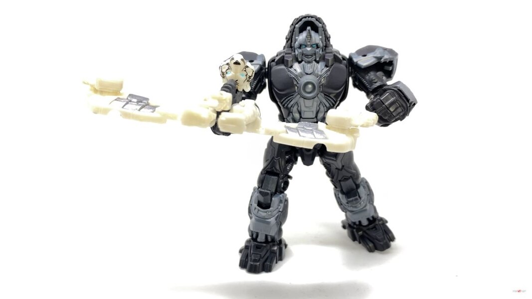 Transformers Rise Of The Beasts Optimus Primal Tigatron In Hand Image  (35 of 35)